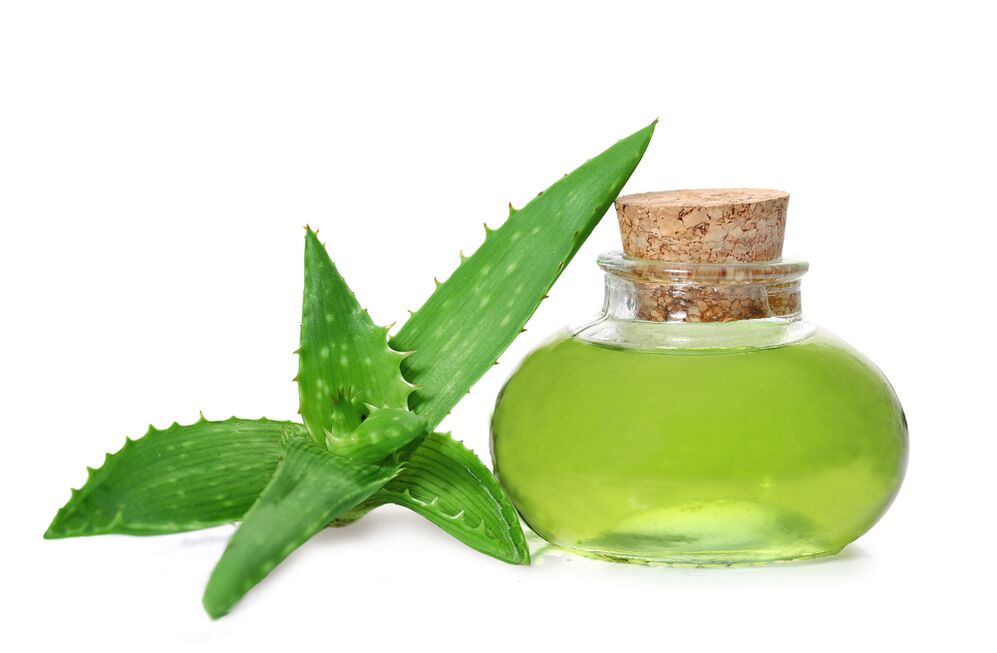 aloe extract - krema konposizioa Proctonic